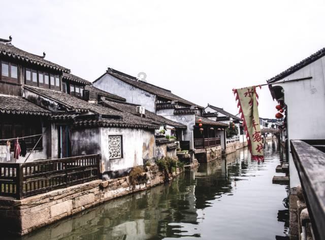 除虫大师